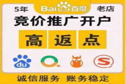 成功企业SEM竞价代运营案例研究